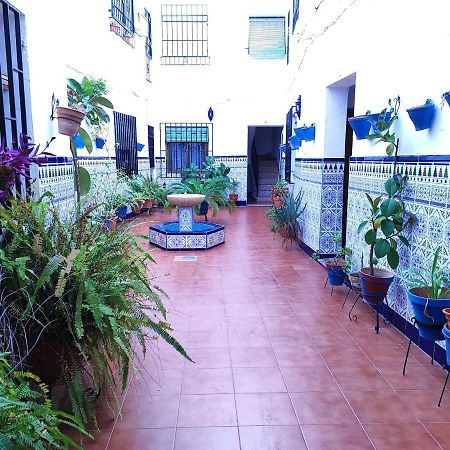 La Casa Del Patio En Pleno San Lorenzo Córdoba Kültér fotó
