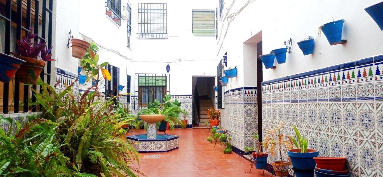 La Casa Del Patio En Pleno San Lorenzo Córdoba Kültér fotó